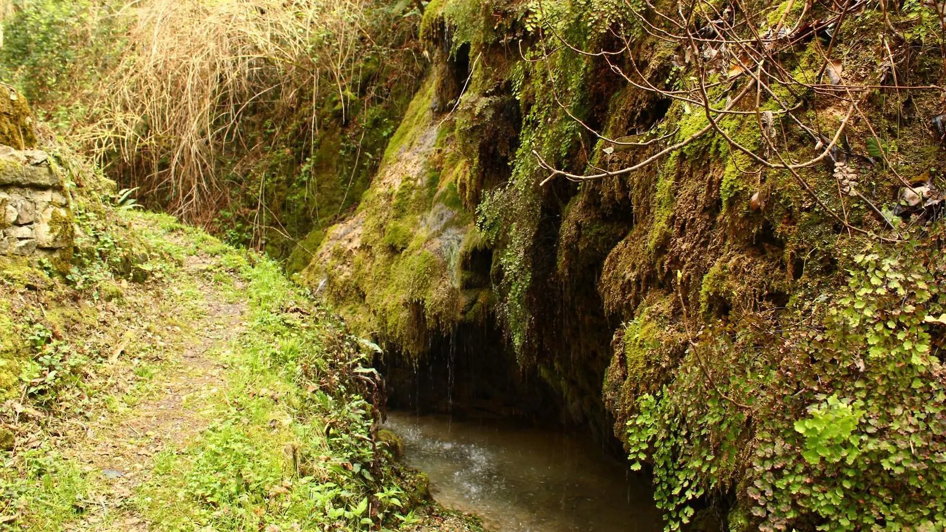 Antico Mulino Baderem Villa Sorisole 0*,  Italy